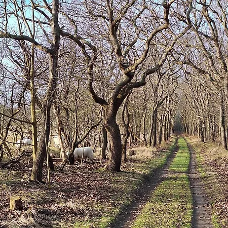Bijzonder Bakkum Tatil Evi *