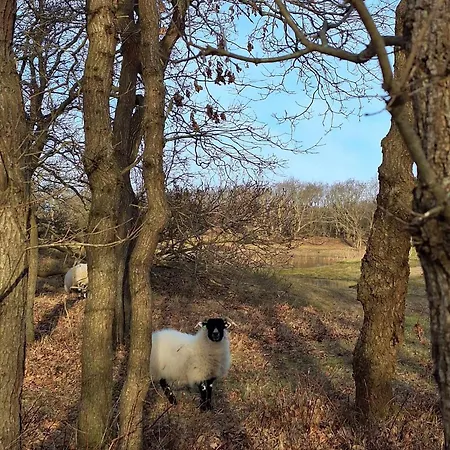 Bijzonder Bakkum * Castricum