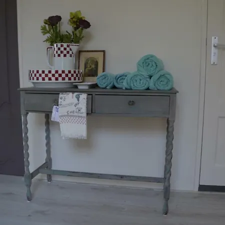 Bijzonder Bakkum Holiday home