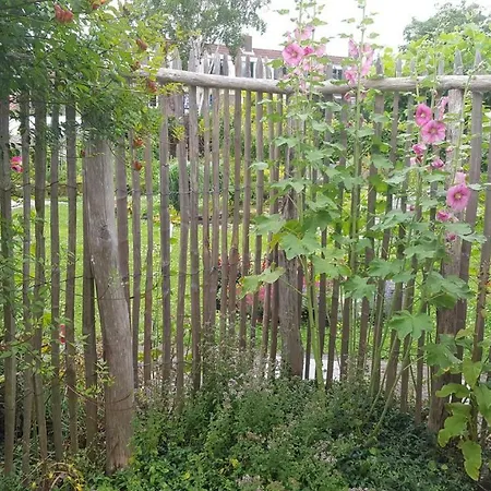 Casa de Férias Bijzonder Bakkum Castricum